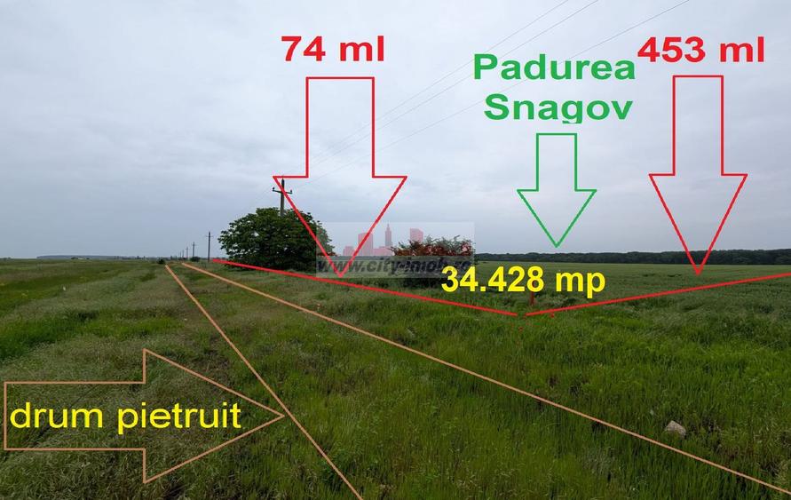 Vanzare Teren - intravilan - Snagov Ghermanesti