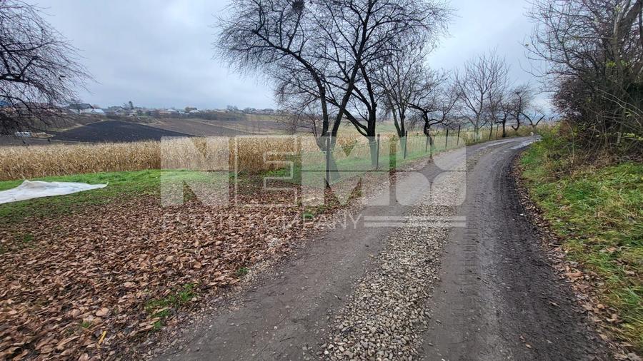 TEREN MOARA I SUCEAVA I LOC DE CASA I 20Ari I 60,000Euro
