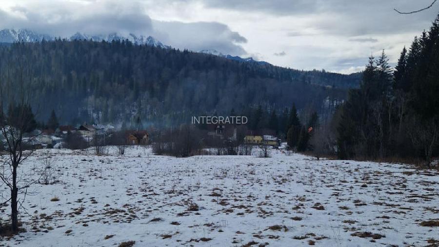 Teren intravilan 1.200 mp Malu Ursului - Predeal - 3