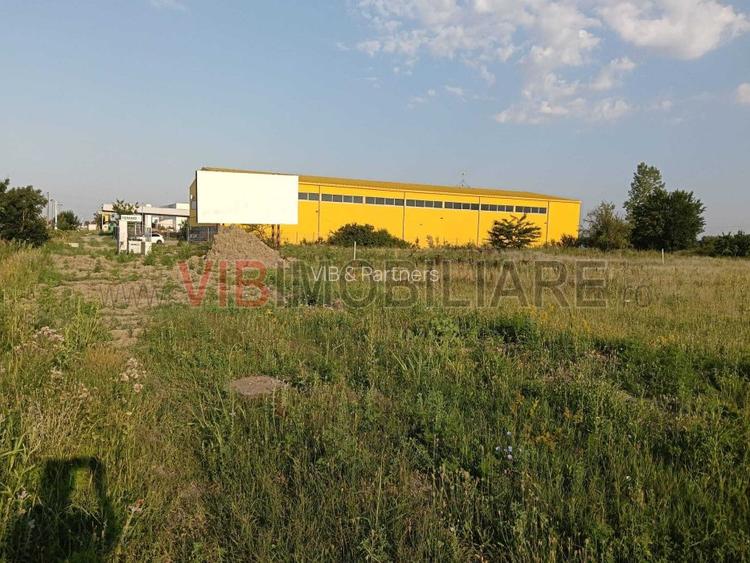 Teren industrial de vânzare | 11.600 mp | Între Timișoara și Remetea | Autorizaț - 3