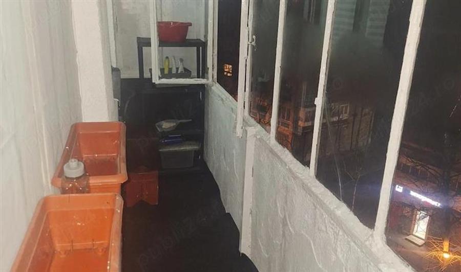 Garsoniera, Tineretului petfriendly