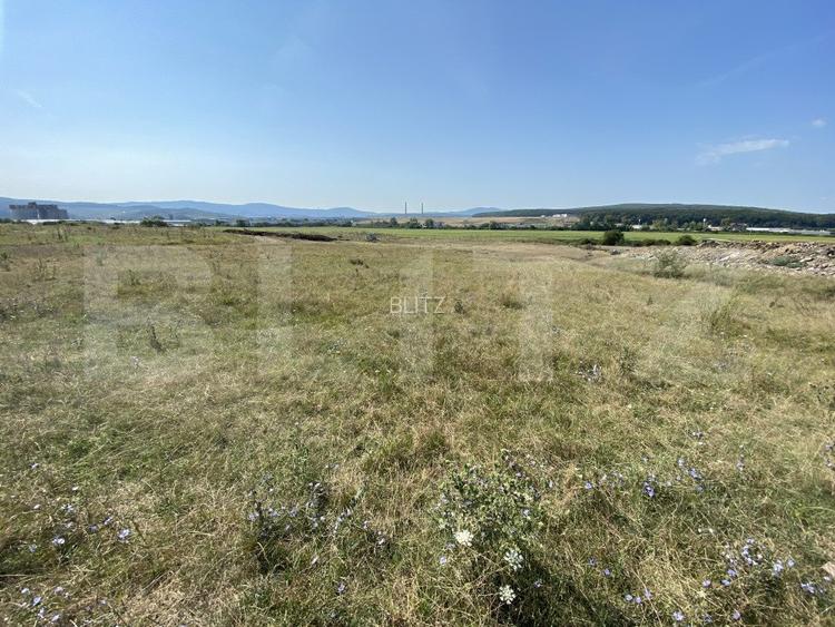 Teren extravilan Criseni, 3800 mp - 4