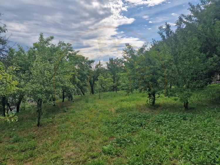 Teren intravilan 1400 mp - Albota!