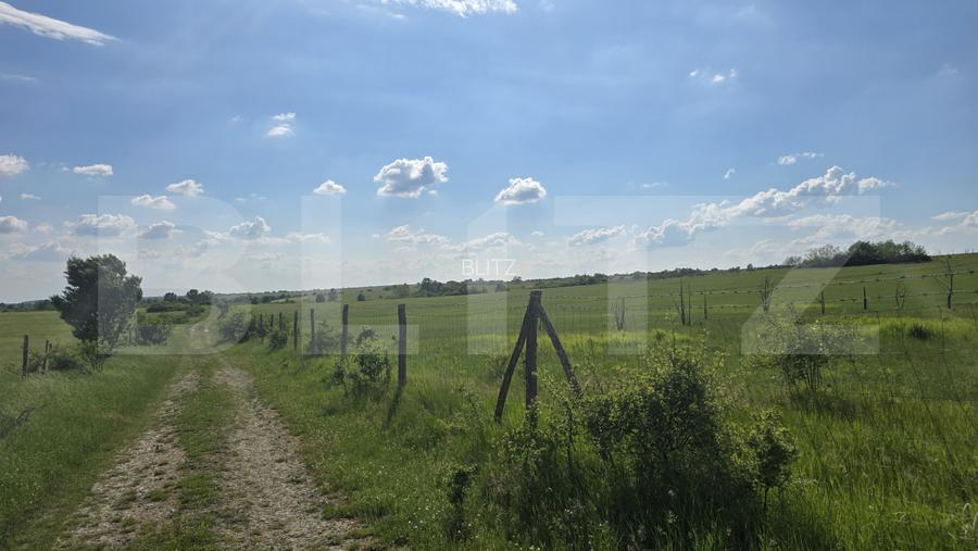Teren agricol, comasat, apa, curent, 755000 mp, langa autostrada, Timis - 2