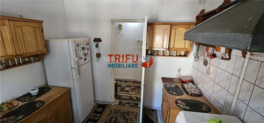 Apartament 1 Camere zona Cetate de Inchiriat - 7