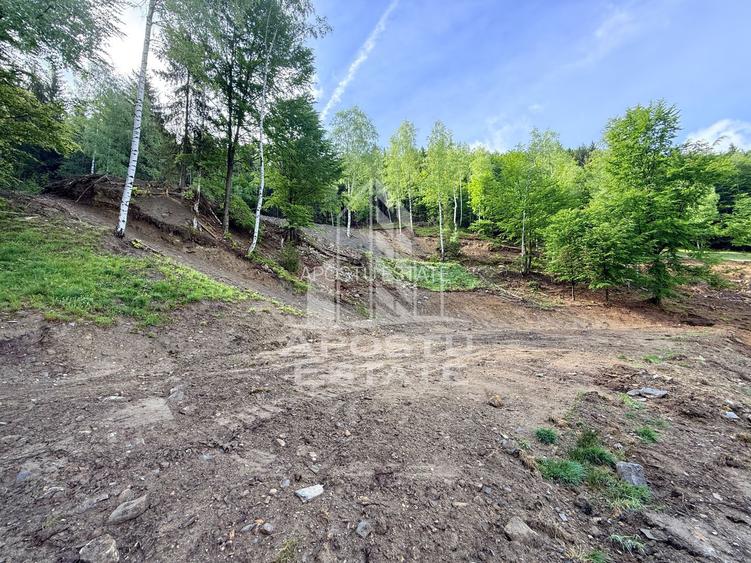 Oportunitate! Domeniu montan, cu lac propriu, oras Lupeni, Hunedoara - 23