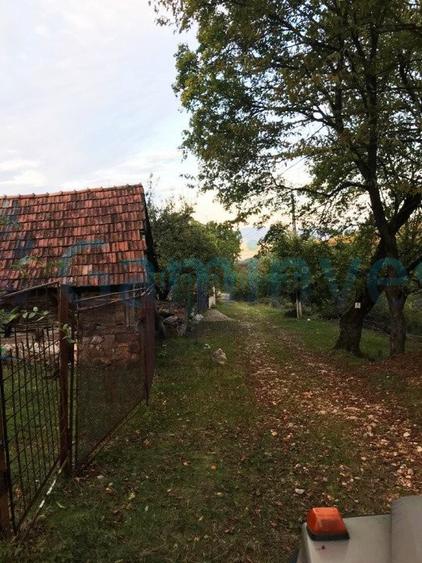Teren intravilan de 1400 mp in Suncuius, de vanzare, Bihor