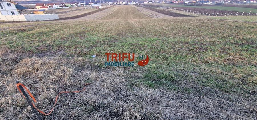 Teren de vanzare Zona Barabant!