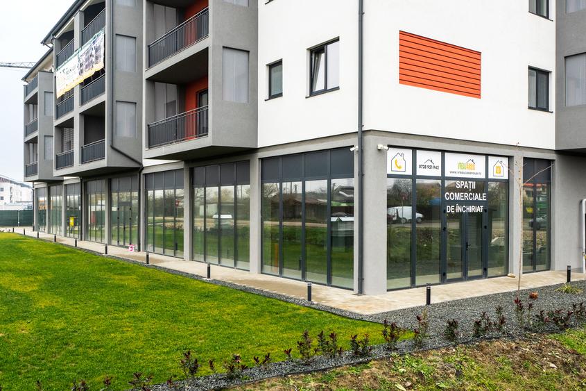 Spatiu Comercial - Mehala - Strada Grigore Alexandrescu