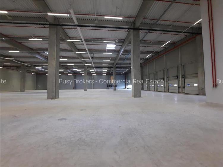 Spatii Industriale - 10000 mp - Logistica - Productie - Depozitare - Distributie - 4