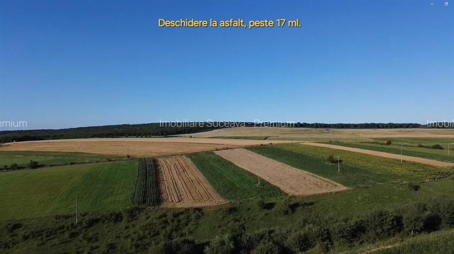 Teren Intravilan 1295 mp Drumul spre Manastirea Mitocu Dragomirnei - 5