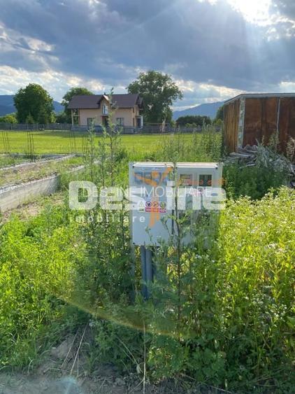 Teren de vanzare Alexandru cel Bun 20.000 Euro 735mp - 9