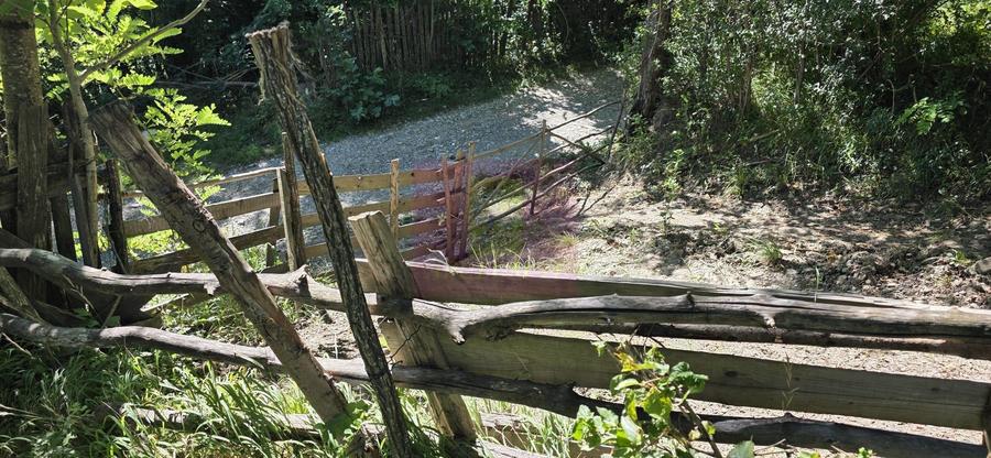 Teren intravilan 1825 mp de vanzare in Valea Doftanei