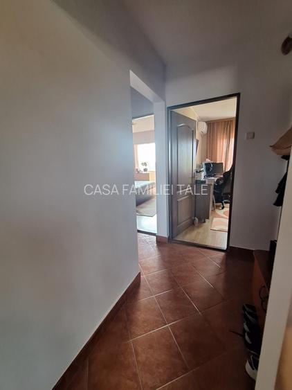 !! 3 Camere model mare.. zona Timocului-A. Saguna vedere spre Bega - 4