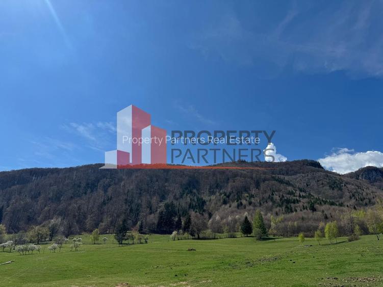 Terenuri Bran - Predelut  Priveliște către Bucegi și Postăvaru - 13