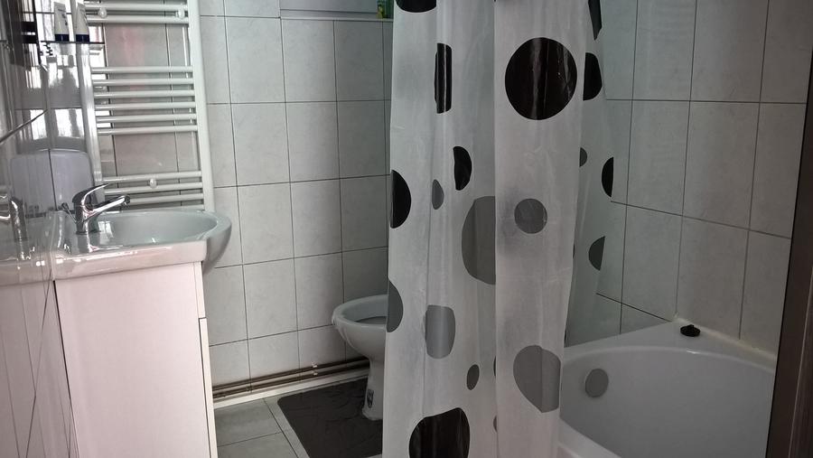Garsoniera libera la vanzare zona Centrul Istoric