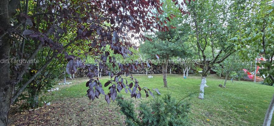Moreni , Dambovita , vanzare proprietate -casa si teren
