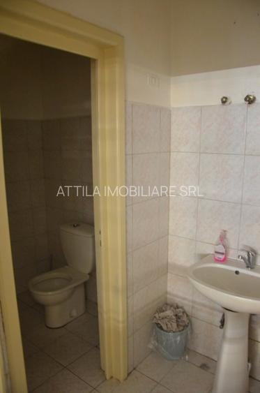 Hala Calea Lugojului 1300 mp 5590 euro - 9