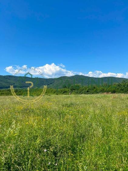 Teren extravilan in Poplaca, Sibiu