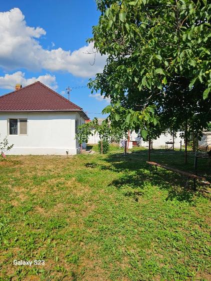 Casa de vanzare Barasti Olt - 6