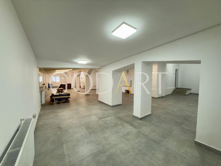 Vila spatioasa | Complet renovată | Central
