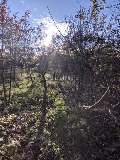 Casă de vânzare, 2 camere, 60 mp, 900 mp teren Dâmbul Rotund zona Dedeman - 14