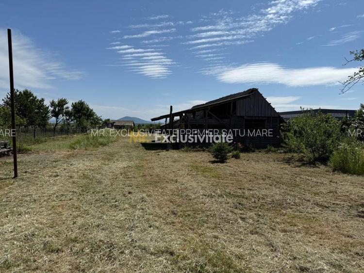 Casa de vânzare in Livada , Satu Mare - 14
