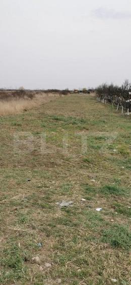 Teren de vanzare, 2450mp, zona Gorunului