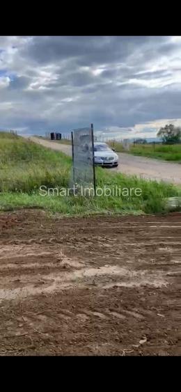 Teren Intravilan 550 mp Bod/Sanpetru - 4
