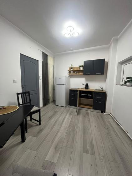Apartament 2 camere in Vila zona Cismigiu