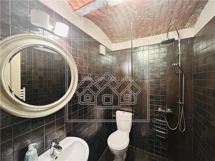 Casa individuala, 150 mp utili, pretabila investitie, Ultracentral - 8