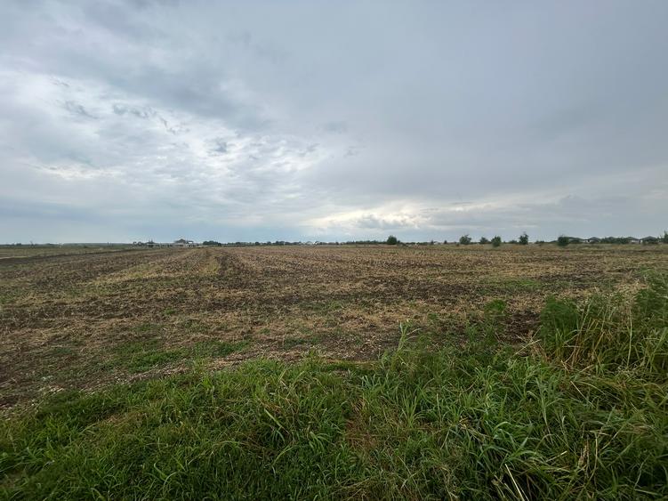 Vanzare Teren Extravilan 20.113 mp Otopeni Odai deschidere la 2 strazi,