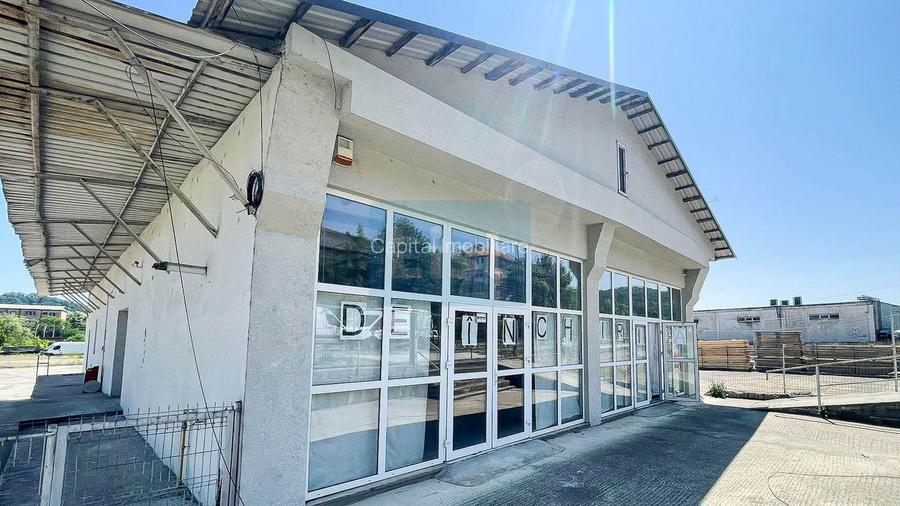 Spatii multiple pentru inchiriat Calea Timisoarei - 4