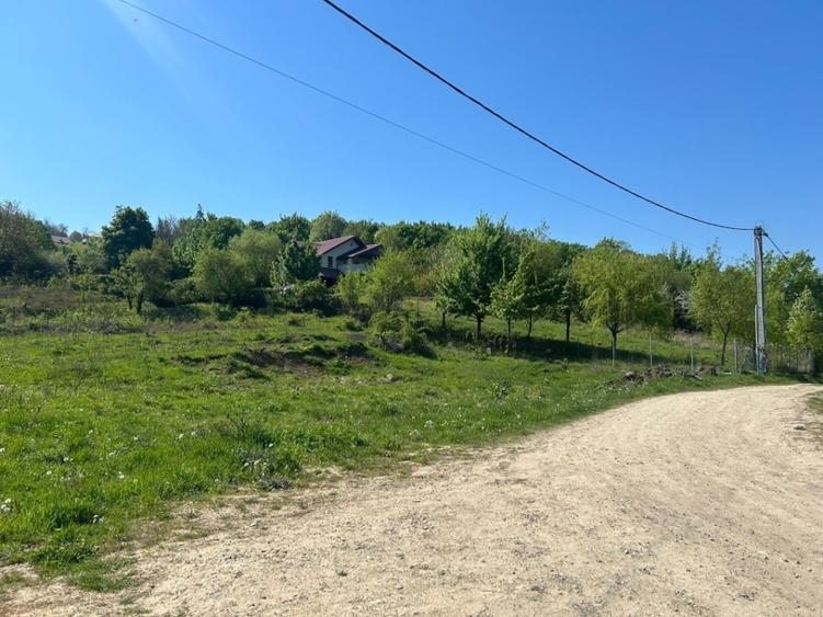 Teren Intravilan 650-700mp Bucium Iași Piatra Sfântă, CU pt Casă