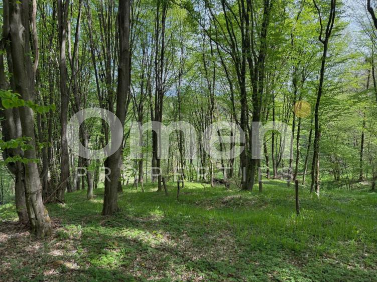 Ideal pentru cabana | zona de camping