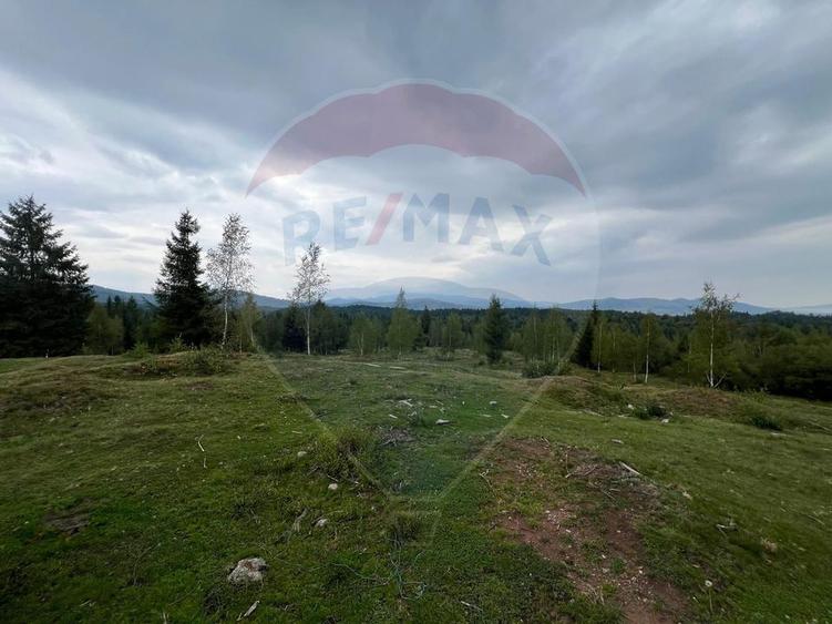 Teren extravilan parcelabil Călățele Pădure, zona Dealu Negru