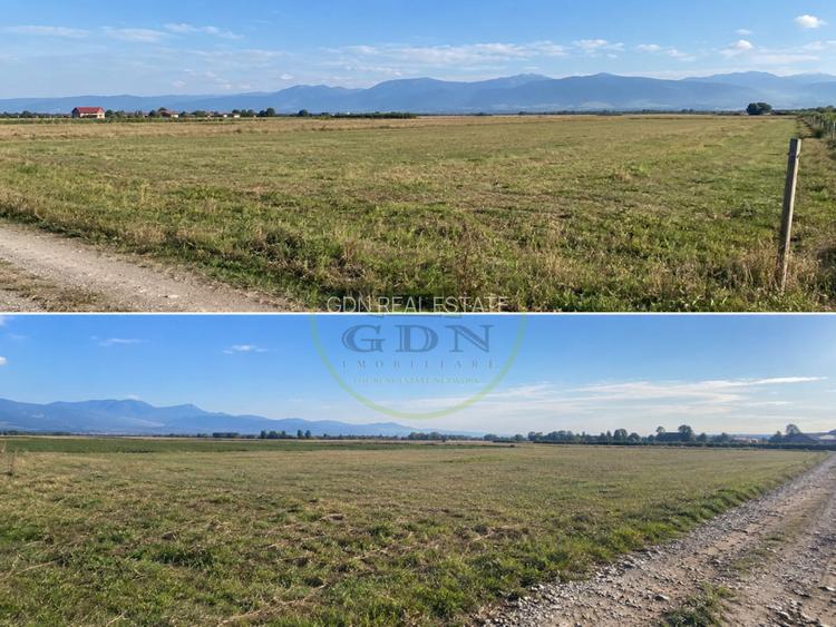 TEREN EXTRAVILAN 4.700 MP – AVrig, lângă pădure | 55.000 € - 2
