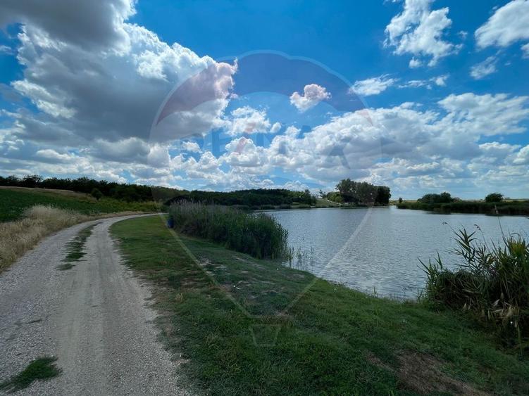 Teren 4.350 mp Balta Pasarea - 30 minute Bucuresti
