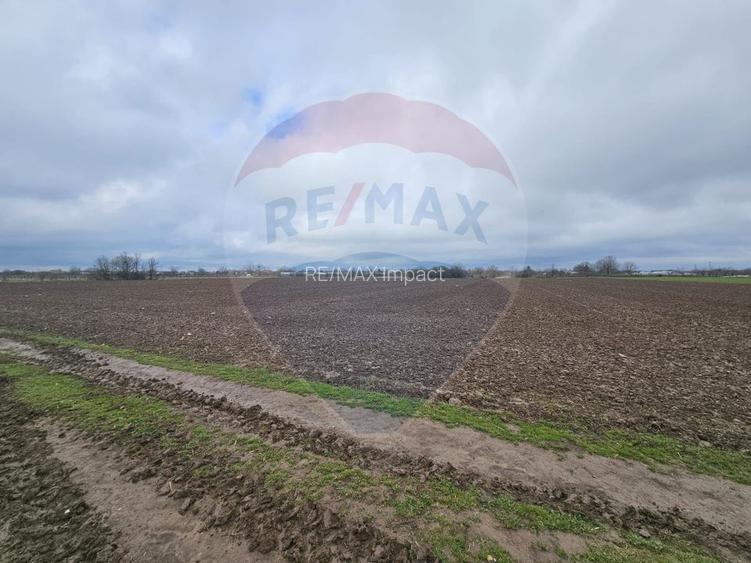 Parcel de teren casa de vanzare Giurgiu Primaria Adunatii-Copaceni - 6