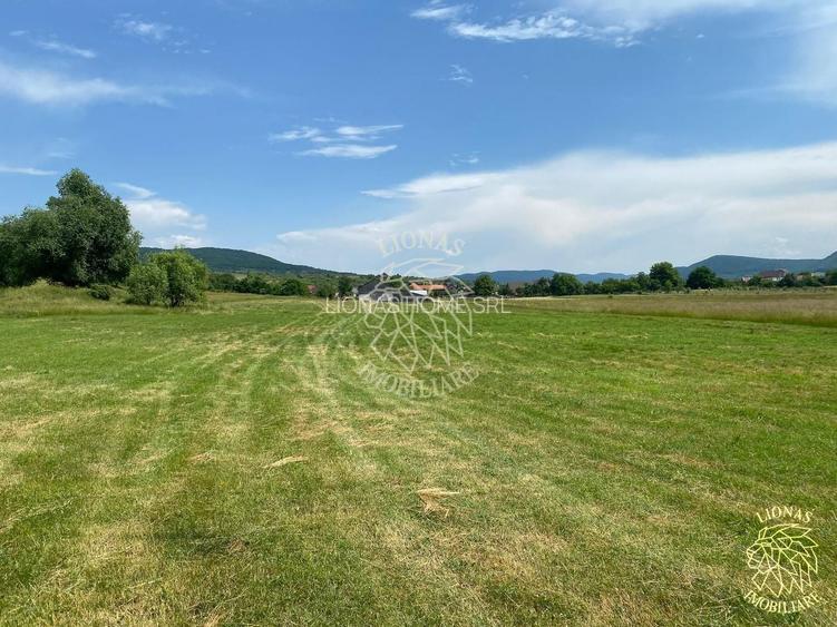 Teren 7200 mp-parcelabil-investitie-Sieu Magherus la 16 km de Bistrita - 3