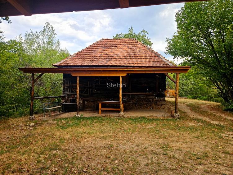 Poiană privată, pădure și cabană | Proprietate cu potențial turistic - 7
