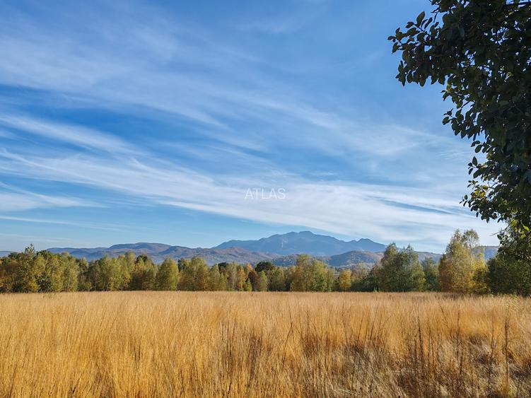 5.800 mp extravilan, Sohodol-Bran, retreat, cabane, off-grid ecoturism, panorama - 12