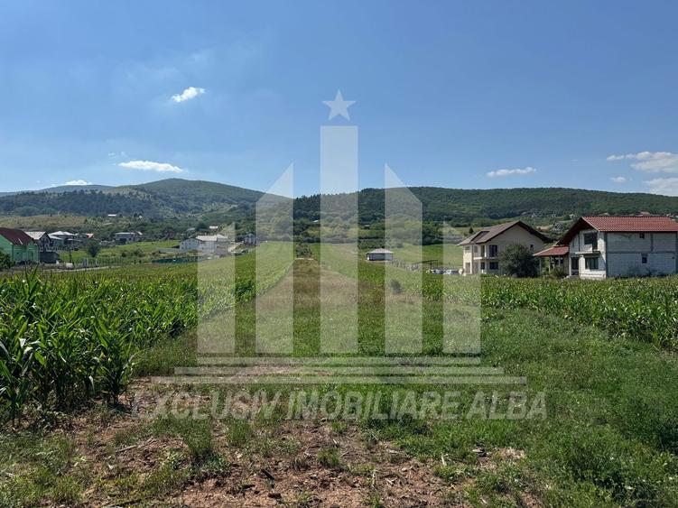 Teren intravilan | De vanzare | 5100 mp | 15 ml | Micesti