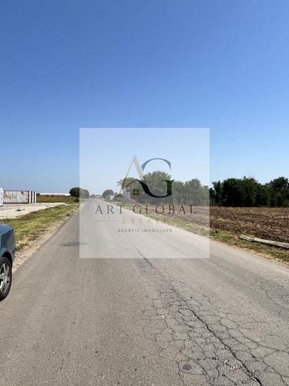 Teren de vanzare Intravilan Caciulati Autostrada A3 Drumul Teilor COMISION 0%