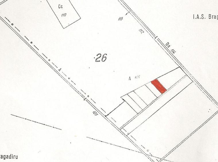 Plevnei