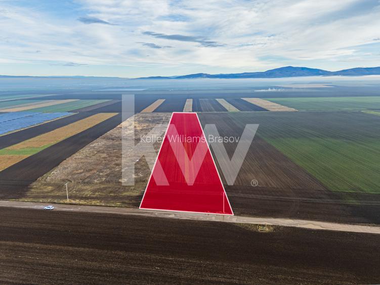 Teren exceptional pentru investitii industriale langa Brasov - 9