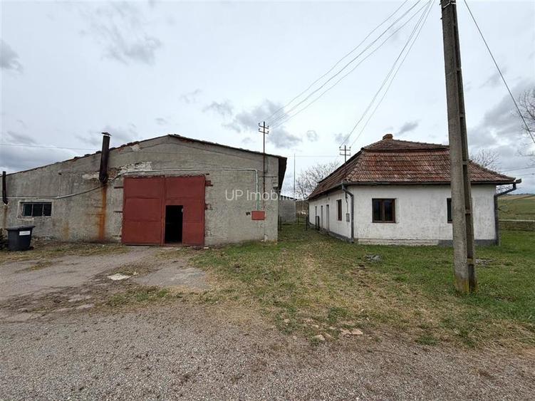 HALE INDUSTRIALE | CLADIRE BIROURI | TEREN 7000 MP | GHEGHIE BIHOR - 3