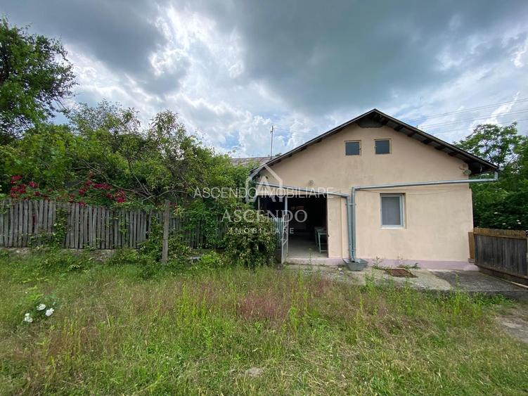 Domeniu 15.900 mp în Fințești | Casă + Investiție Dealu Mare - 8
