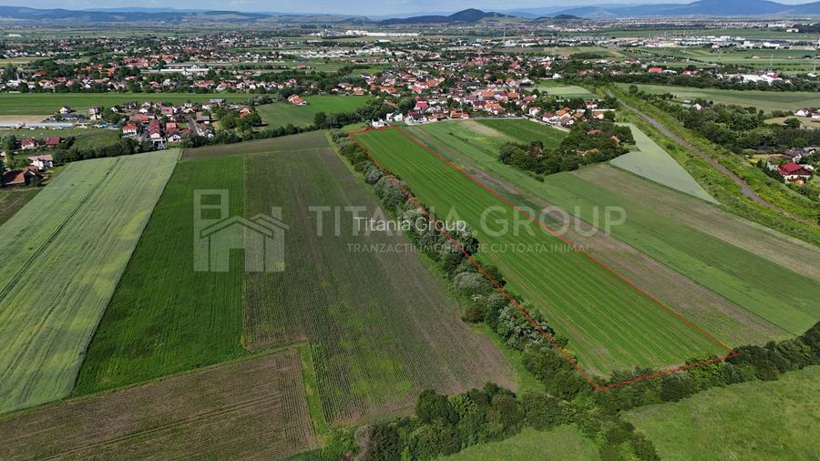 Teren intravilan 3h, Stupini -Str. Oitelor, asfalt si utilitati la 70 m - 5
