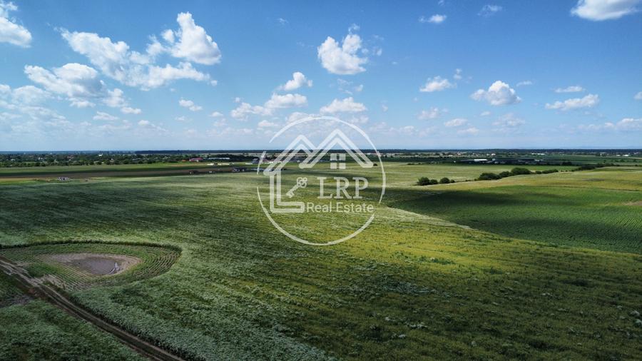 Teren Intravilan 9.918 mp Creața Dascălu, T66– Parcelabil